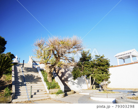 城ヶ島（冬） 79303298