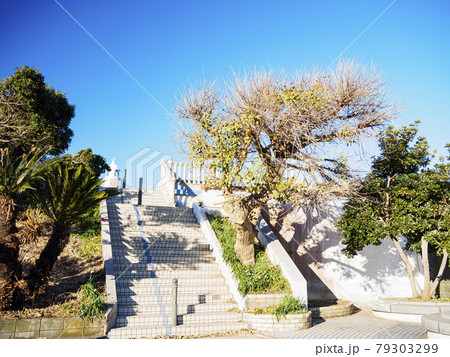 城ヶ島（冬） 79303299