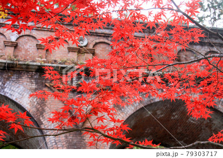 南禅寺 南禅寺 79303717