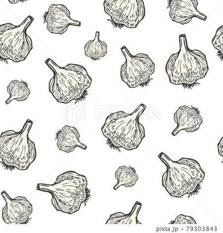 Garlic hand drawn background seamless pattern. Vintage background. Vector 79303843