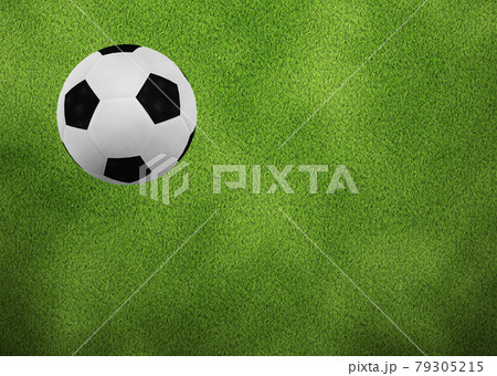 3D Soccer ball on grass 79305215
