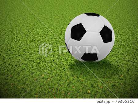 3D Soccer ball on grass 3D Soccer ball on grass 79305216