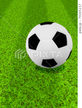 3D Soccer ball on grass 3D Soccer ball on grass 79305217
