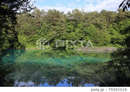 福島県の観光名勝『五色沼』 79305319