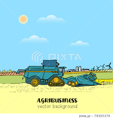 Combine in the field 79305370