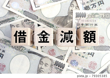 借金減額 木のブロック テキスト 借金減額 木のブロック テキスト 79305385