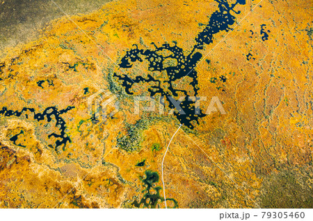 Miory District, Vitebsk Region, Belarus. The Yelnya Swamp. Upland And Transitional Bogs With Numerous Lakes. Elevated Aerial View Of Yelnya Nature Reserve Landscape. Famous Natural Landmark Miory District, Vitebsk Region, Belarus. The Yelnya Swamp. Upland And Transitional Bogs With Numerous Lakes. Elevated Aerial View Of Yelnya Nature Reserve Landscape. Famous Natural Landmark 79305460