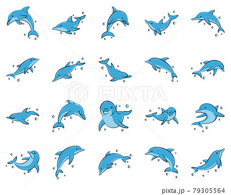 flat color vector illustration icon set of blue dolphin flat color vector illustration icon set of blue dolphin 79305564