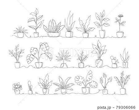 One line. Home plants. Continuous monoline pots with tropical greenery and exotic decorative palms. Black and white potted flowers set. Interior decor. Vector houseplant collection 79306066