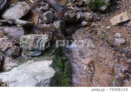 鞍馬山の湧き水、京都府京都市左京区鞍馬 79306129