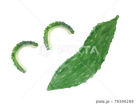 ゴーヤとカットしたゴーヤ 79306289