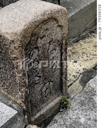 大阪府守口市　文禄堤の街歩き写真　守口宿 79306358