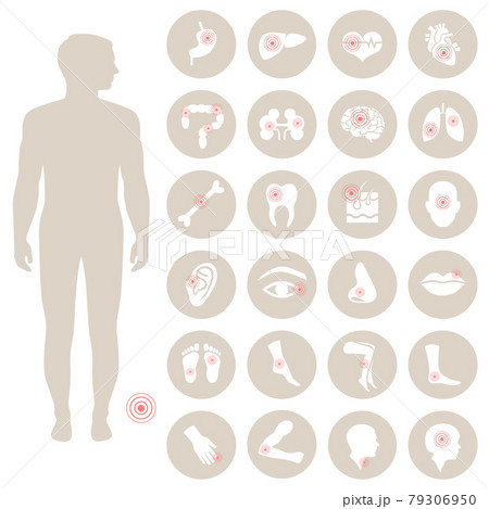 human anatomy, body pain human anatomy, body pain 79306950