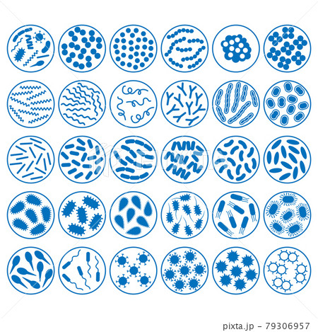 vector bacteria and virus pattern 79306957