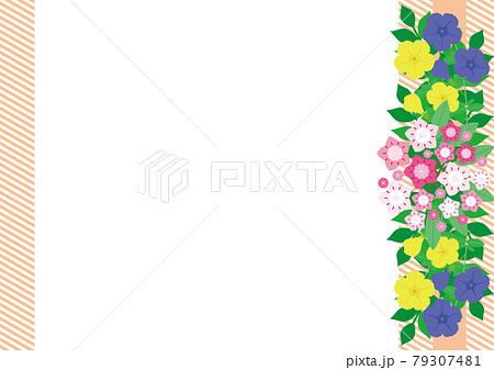 カルミアとペチュニアの花、パステルオレンジのストライプボーダー背景 79307481