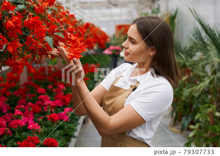 Cute woman admiring beautiful red and pink flowers. Cute woman admiring beautiful red and pink flowers. 79307733