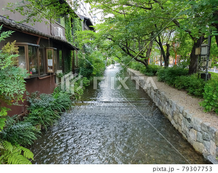 高辻橋からの初夏の高瀬川の眺め（京都）の写真素材 [79307753