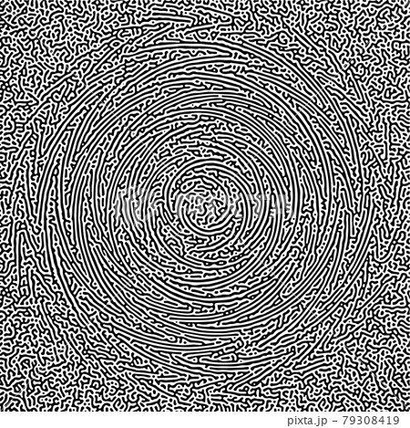 Cyclic Symmetric Multiscale Turing Pattern. Monochrome texture Cyclic Symmetric Multiscale Turing Pattern. Monochrome texture 79308419