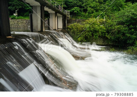 満濃池のゆるぬきにて増水した、ほたる見公園の河川（横から)【香川県仲多度郡まんのう町】 79308885