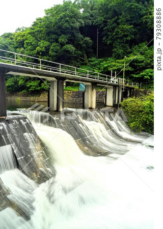 満濃池のゆるぬきにて増水した、ほたる見公園の河川（縦写真)【香川県仲多度郡まんのう町】 79308886
