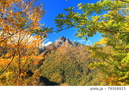 【愛媛県】快晴下の石鎚山紅葉 【愛媛県】快晴下の石鎚山紅葉 79308925