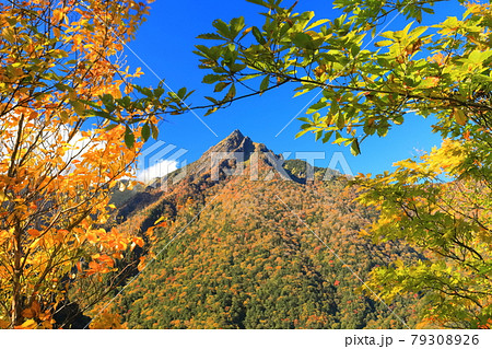 【愛媛県】快晴下の石鎚山紅葉 79308926