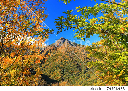 【愛媛県】快晴下の石鎚山紅葉 79308928
