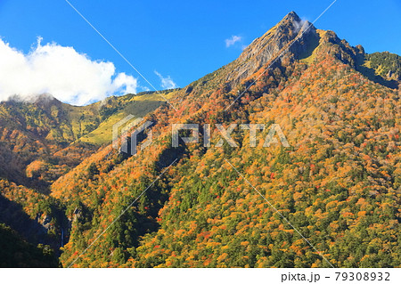 【愛媛県】快晴下の石鎚山紅葉 【愛媛県】快晴下の石鎚山紅葉 79308932