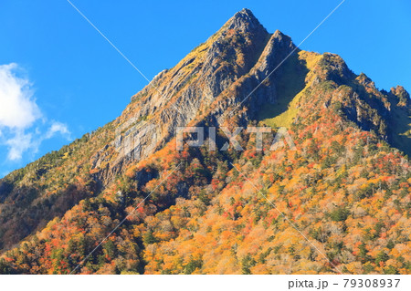 【愛媛県】快晴下の石鎚山紅葉 79308937
