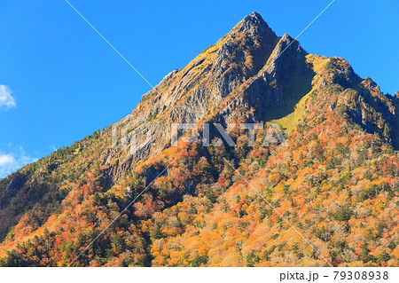 【愛媛県】快晴下の石鎚山紅葉 79308938