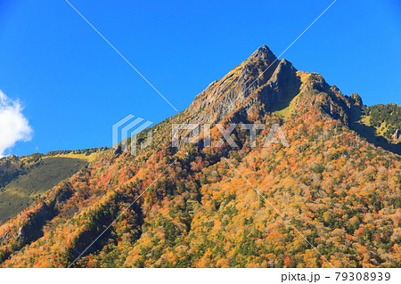 【愛媛県】快晴下の石鎚山紅葉 【愛媛県】快晴下の石鎚山紅葉 79308939