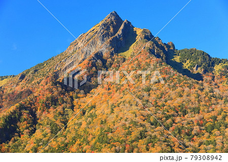 【愛媛県】快晴下の石鎚山紅葉 【愛媛県】快晴下の石鎚山紅葉 79308942