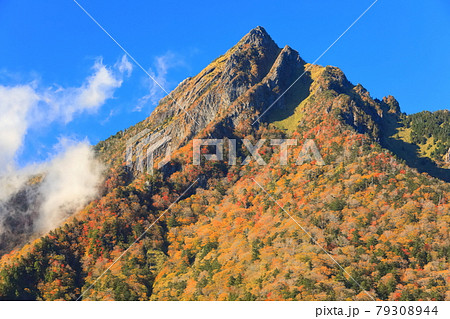 【愛媛県】快晴下の石鎚山紅葉 79308944