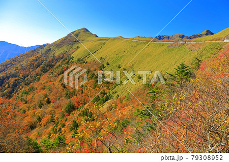 晴天下のUFOラインの紅葉(自念子の頭) 晴天下のUFOラインの紅葉(自念子の頭) 79308952