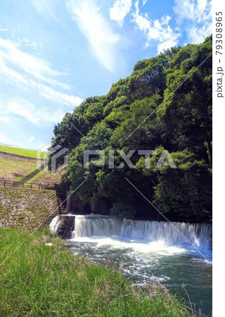 満濃池のゆるぬき(ほたる見公園からの眺め縦写真)【香川県仲多度郡まんのう町】 満濃池のゆるぬき(ほたる見公園からの眺め縦写真)【香川県仲多度郡まんのう町】 79308965