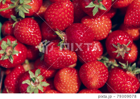 Macro of Fresh strawberries Macro of Fresh strawberries 79309078