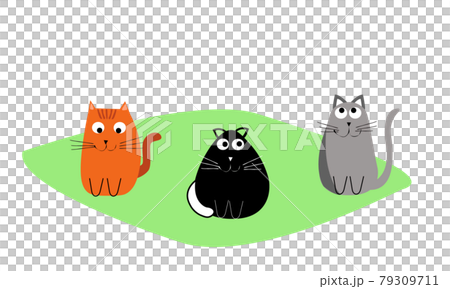 Bustling cats cats redhead black gray cheerful with big eyes. Set of purebred pets isolated on white background. Vector flat cartoon illustration.Applying banner, cover, paper, textiles, kids serabboo 79309711