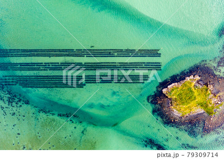 Aerial view of loyster farm by Ardara, County Donegal - Ireland Aerial view of loyster farm by Ardara, County Donegal - Ireland 79309714