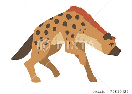 Hyena As Carnivore Mammal With Spotted Coat And のイラスト素材