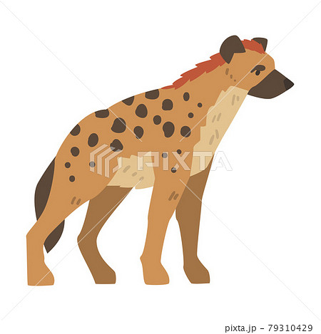 Hyena As Carnivore Mammal With Spotted Coat And のイラスト素材