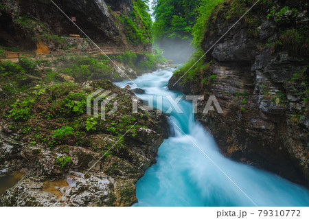 Stunning cascades in the Vintgar gorge after rain, Slovenia 79310772