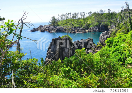 みちのく潮風トレイル　三陸復興国立公園　唐桑半島　探勝歩道　巨釜から半造を望む 79311595