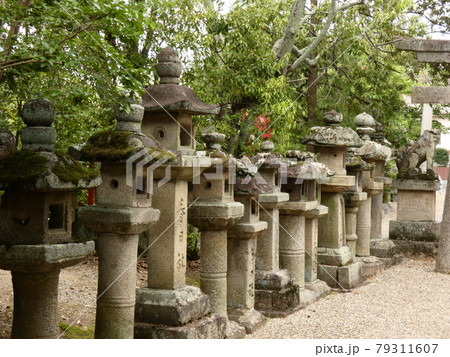 燈籠と狛犬・奈良豆比古神社 燈籠と狛犬・奈良豆比古神社 79311607