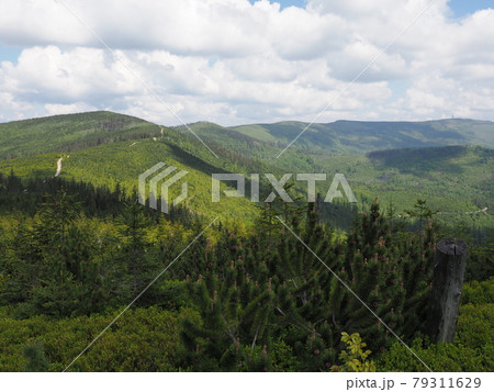 Silesian Beskids Mountains range near Salmopol pass, Poland 79311629