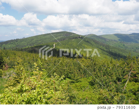 Panoramic Silesian Beskids Mountains range near Salmopol pass, Poland 79311630