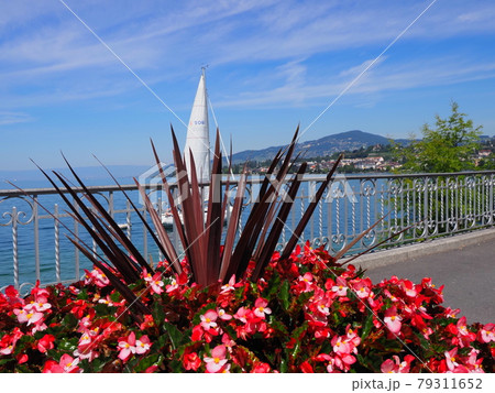 Flowers and yacht at promenade in Montreux city in Switzerland Flowers and yacht at promenade in Montreux city in Switzerland 79311652