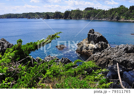 みちのく潮風トレイル　三陸復興国立公園　唐桑半島　探勝歩道　半造から笹浜漁港を眺める 79311765