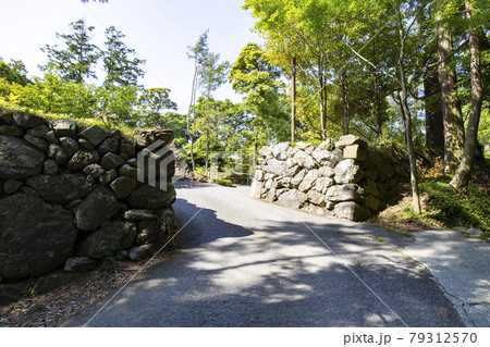 唐沢山城の二の丸虎口 唐沢山城の二の丸虎口 79312570
