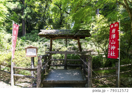唐沢山城の大炊の井 79312572