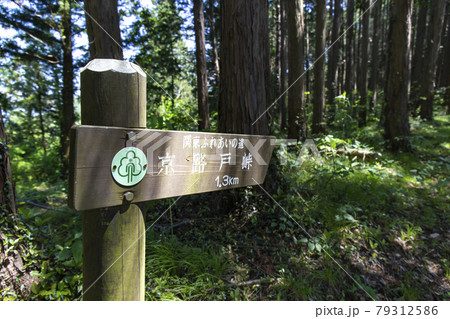 京路戸峠登山道にある案内板 京路戸峠登山道にある案内板 79312586